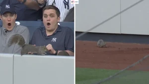 Kibice nie mogli uwierzyć własnym oczom. Nieproszony gość zakłócił mecz