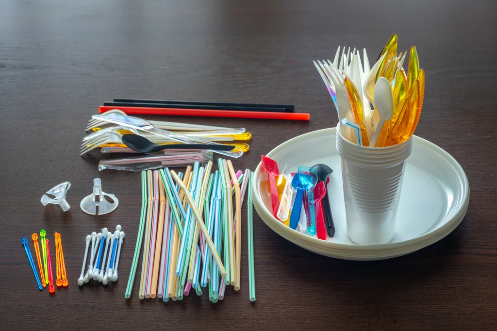 Czeka nas rewolucja dotycząca plastikowych naczyń, sztućców i opakowań jednorazowego użytku. Niektóre przepisy unijnej dyrektywy SUP już obowiązują