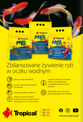 Aquael Zoo - oferta na czerwiec