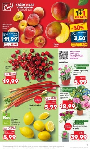 Kaufland - oferta handlowa
