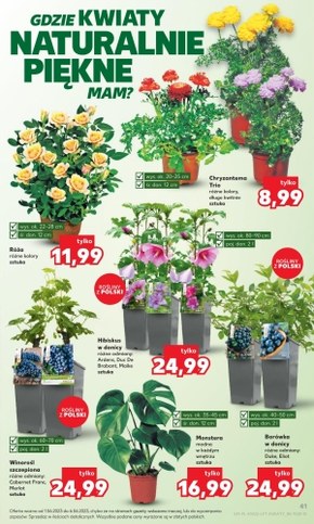 Kaufland - oferta handlowa