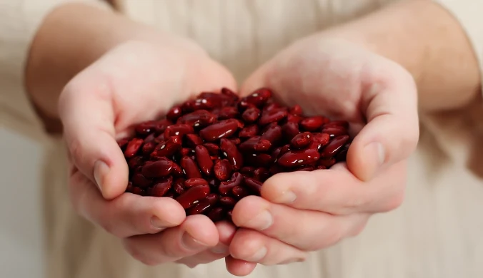 Czerwona fasola to doskonałe źródło błonnika i białka. Pomaga schudnąć, ale może obciążać jelita