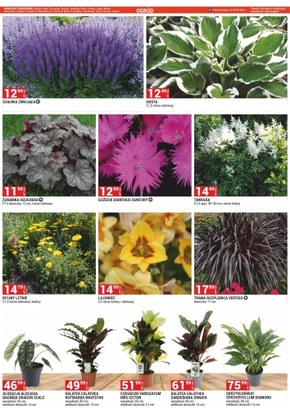 Merkury Market - nowa oferta handlowa
