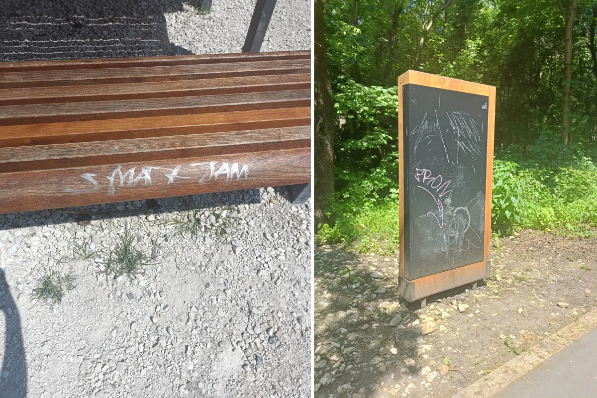 Zniszczenia w Parku Zakrzówek Zniszczenia w Parku Zakrzówek