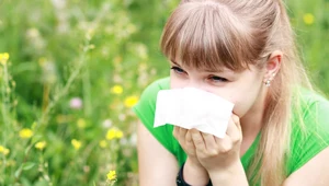 Co pyli w czerwcu i uczula alergików? Problem milionów Polaków