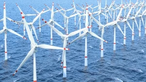 Morskie farmy wiatrowe na Bałtyku mogą wyprodukować 60 proc. potrzebnej w Polsce energii