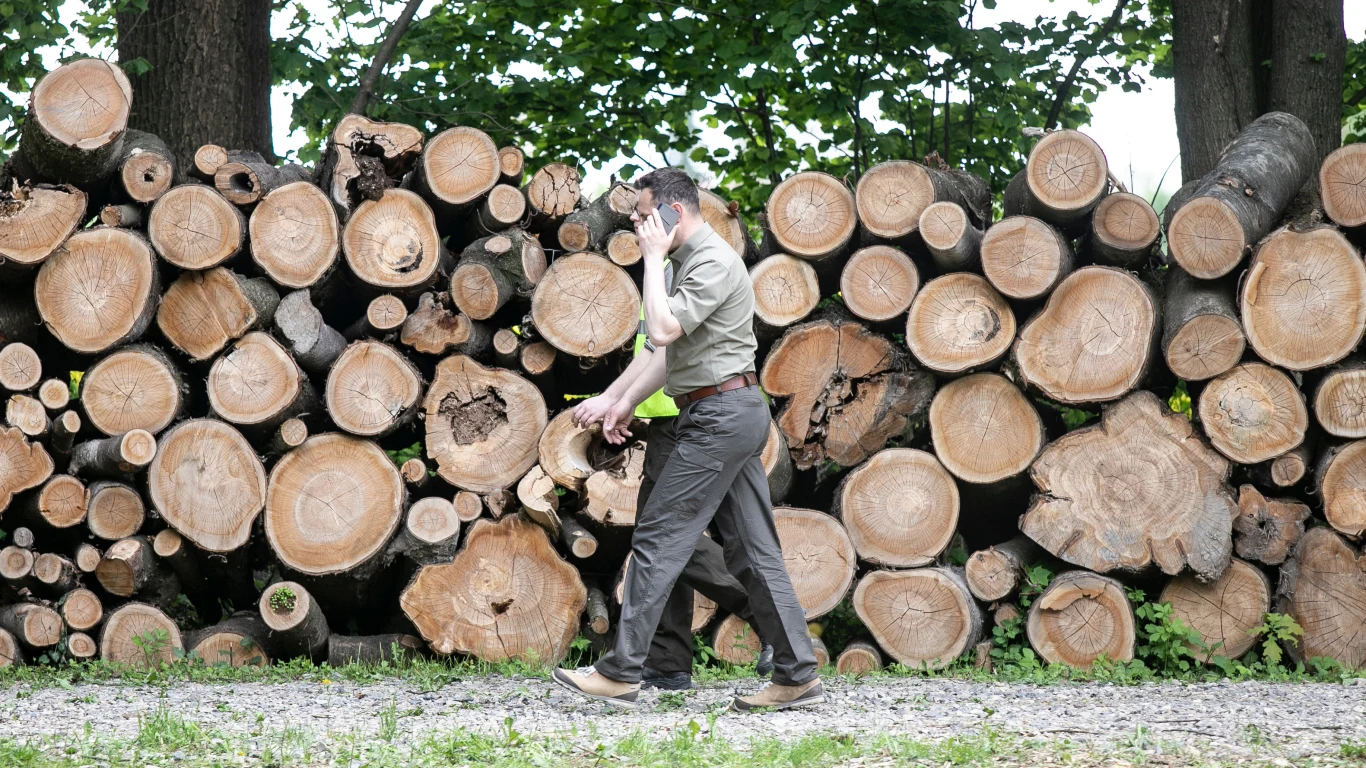 Ile zarabiają Lasy Państwowe? Jak alarmują ekolodzy, w 2022 r. przychody i zysk państwowej organizacji były rekordowo wysokie Ile zarabiają Lasy Państwowe? Jak alarmują ekolodzy, w 2022 r. przychody i zysk państwowej organizacji były rekordowo wysokie