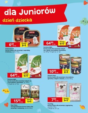 Kakadu - promocje dla juniorów!