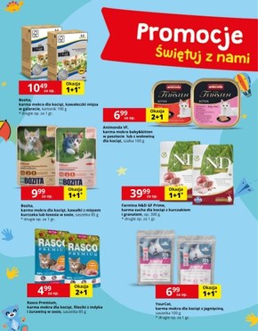 Kakadu - promocje dla juniorów!