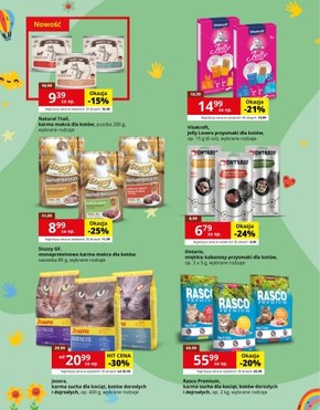Kakadu - promocje dla juniorów!