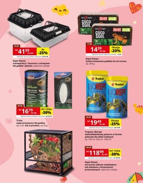 Kakadu - promocje dla juniorów!
