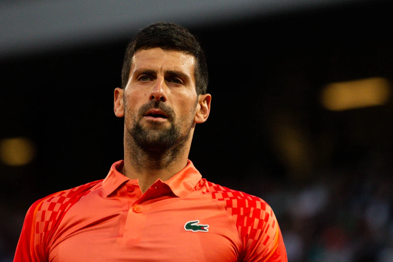 Novak Djoković