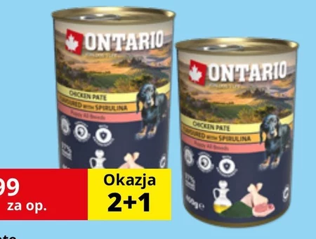 Karma dla psa Ontario