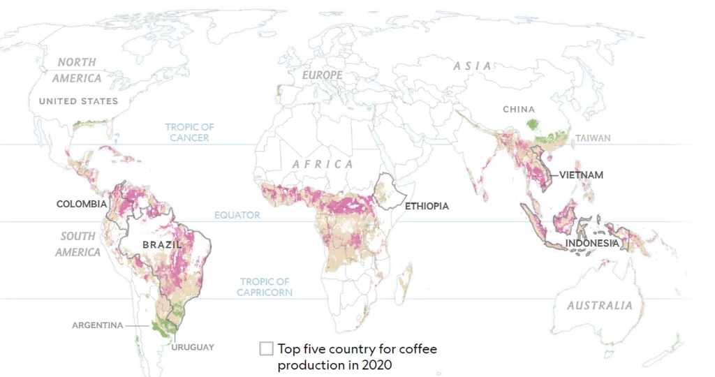 Prognozy dla rolników uprawiających kawę nie są optymistyczne. Przez globalne ocieplenie dotychczasowe obszary nadające się do hodowli kawowca będą się nieodwracalnie zmieniać