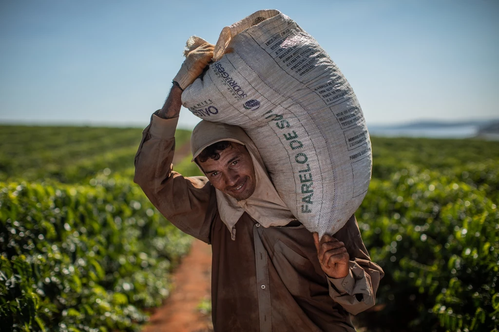 Tysiące rodzin w Ameryce Południowej, Afryce i Azji utrzymują się ze zbiorów ziaren kawowca. Globalne ocieplenie sprawia, że z dnia na dzień mogą zostać bez jakichkolwiek dochodów