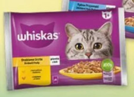 Whiskas Junior Karma 2-12 miesięcy potrawka w galaretce smaki drobiowe 340 g (4 x 85 g)