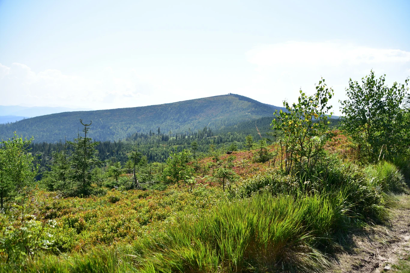 Gdzie warto wybrać się na majówkę? Gdzie warto wybrać się na majówkę?