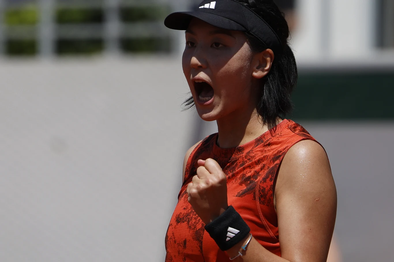 Wang Xinyu Wang Xinyu