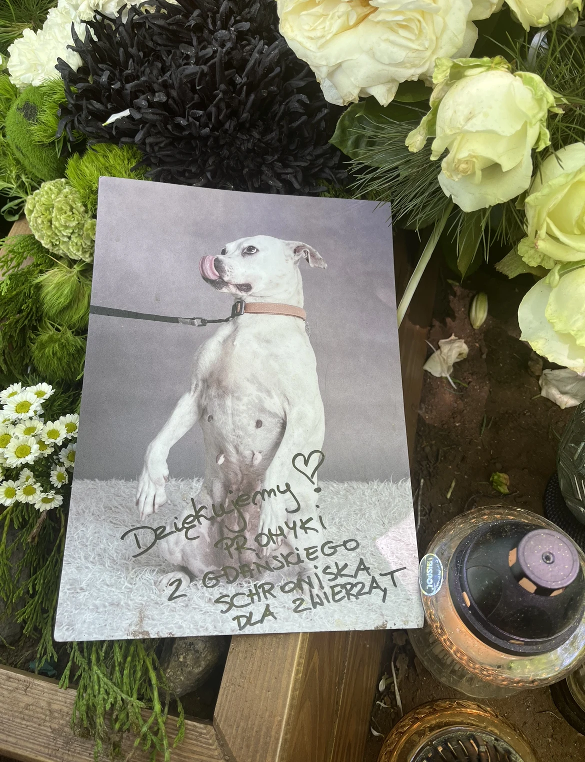 Na nagrobku znalazły się podziękowania ze schroniska dla zwierząt "Promyk" w Gdańsku Na nagrobku znalazły się podziękowania ze schroniska dla zwierząt "Promyk" w Gdańsku
