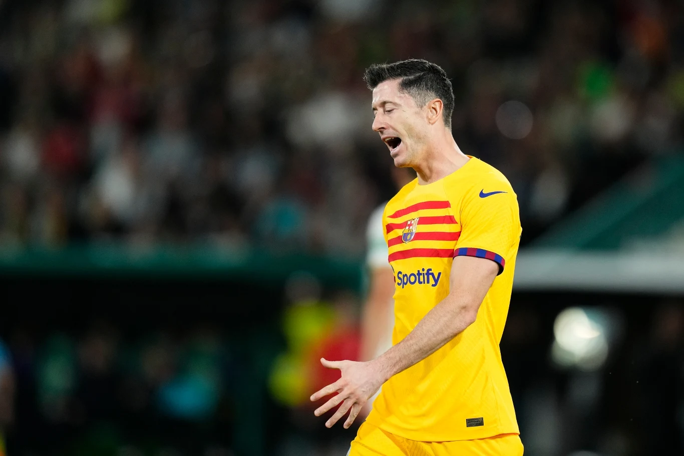 Robert Lewandowski Robert Lewandowski