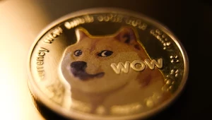 Kryptowalutowa hossa dogecoina. Trump i Musk podbili cenę ”pieseła”.