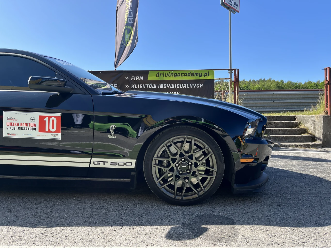 Wielka Gonitwa Stajni Mustangów