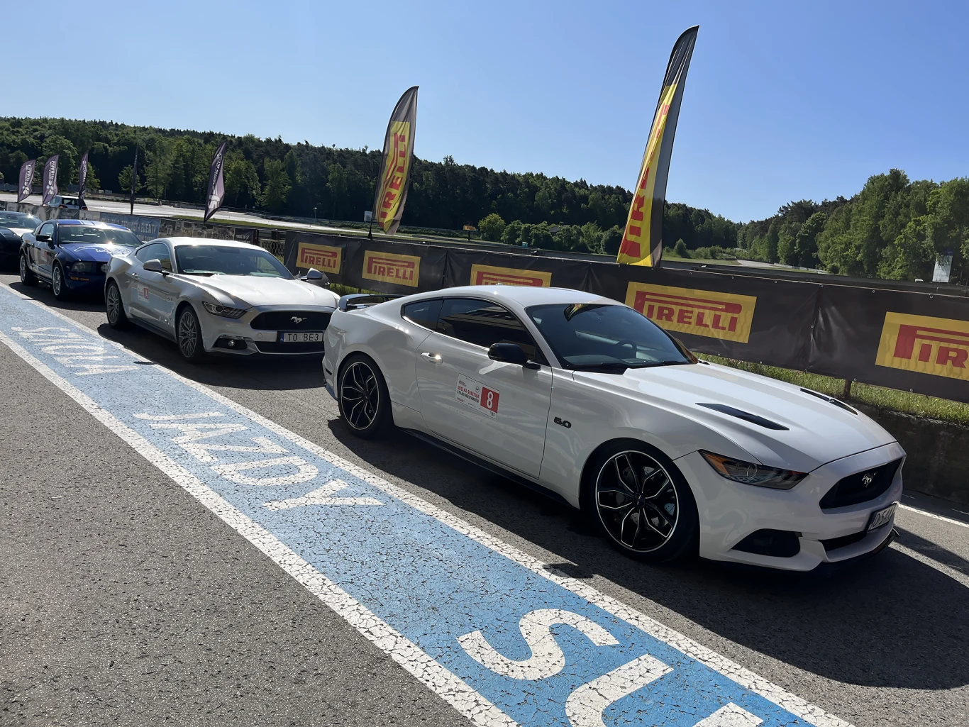 Wielka Gonitwa Stajni Mustangów