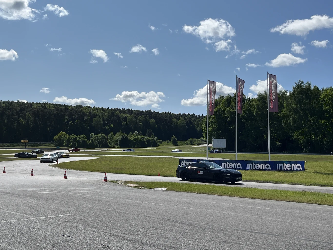 Wielka Gonitwa Stajni Mustangów