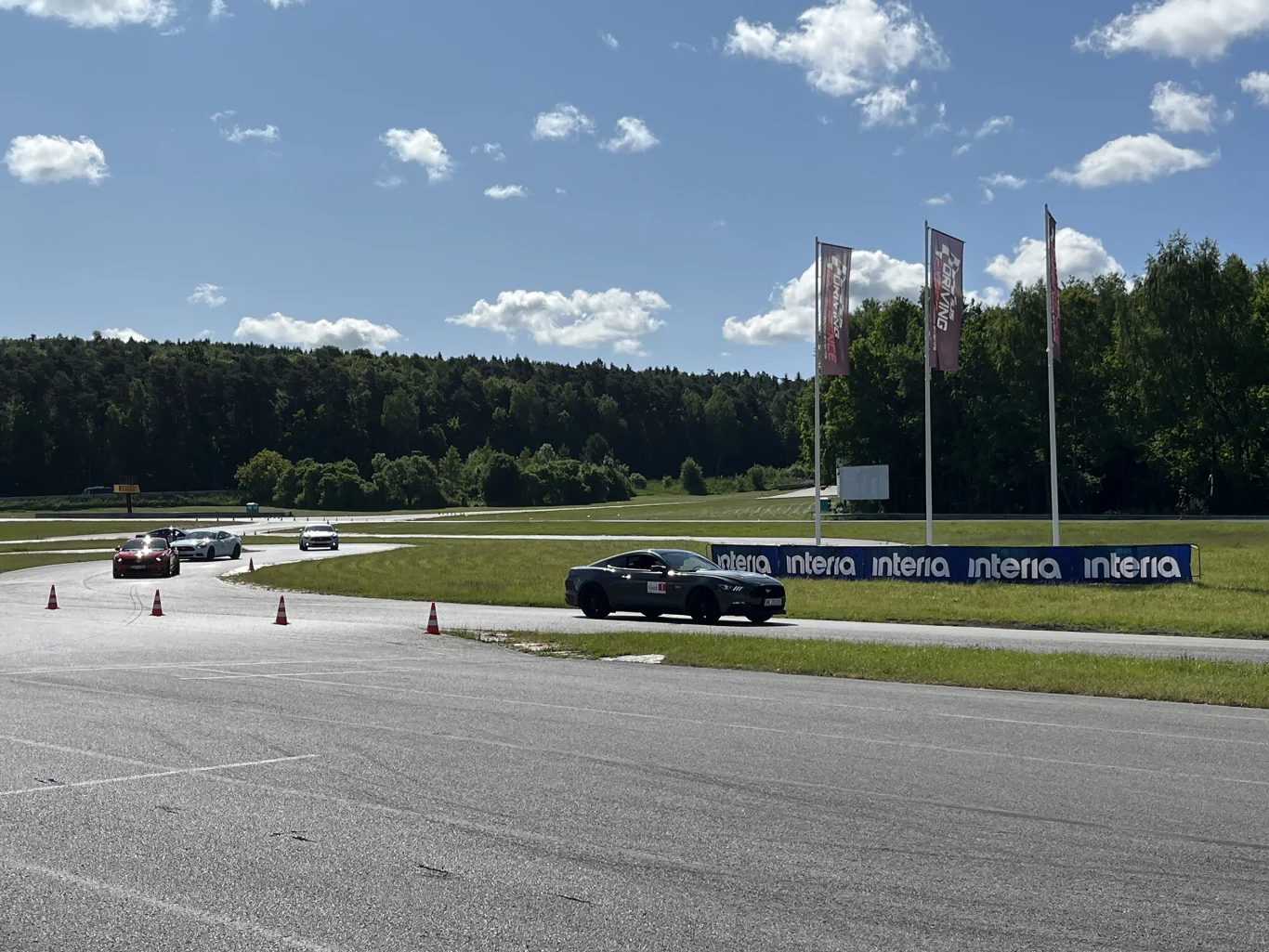 Wielka Gonitwa Stajni Mustangów