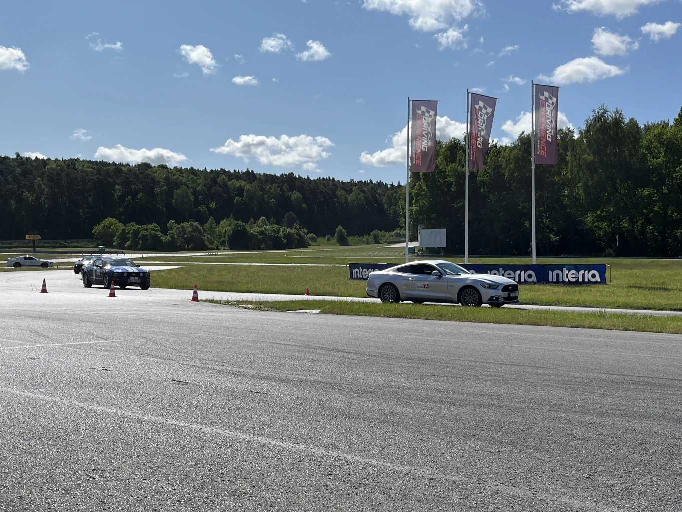 Wielka Gonitwa Stajni Mustangów