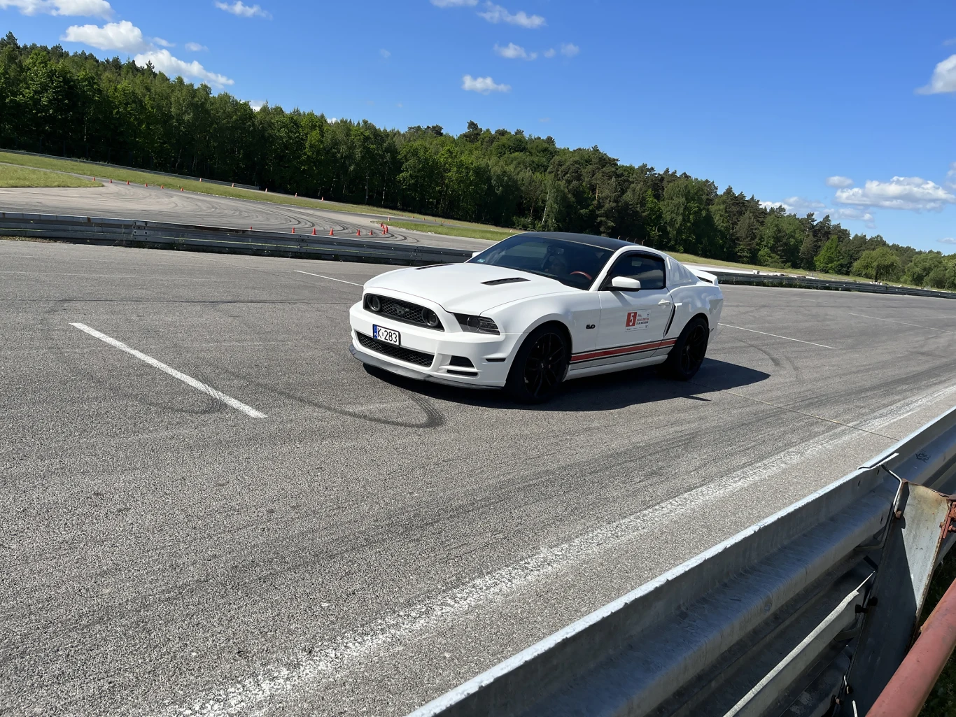 Wielka Gonitwa Stajni Mustangów