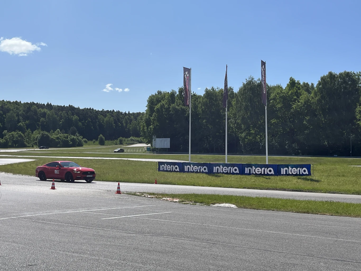 Wielka Gonitwa Stajni Mustangów