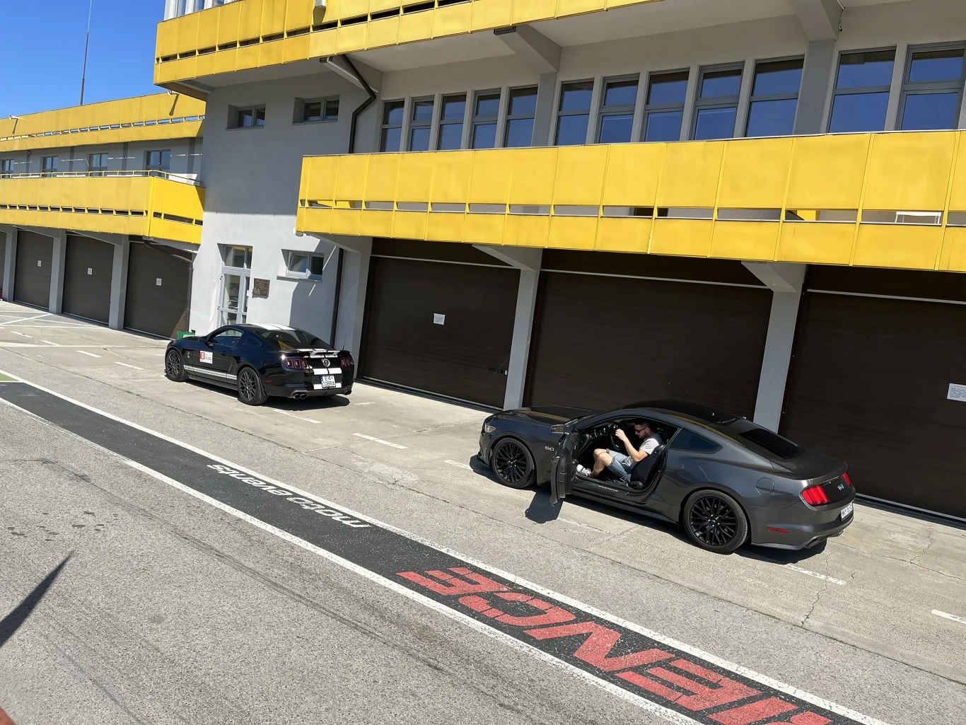 Wielka Gonitwa Stajni Mustangów