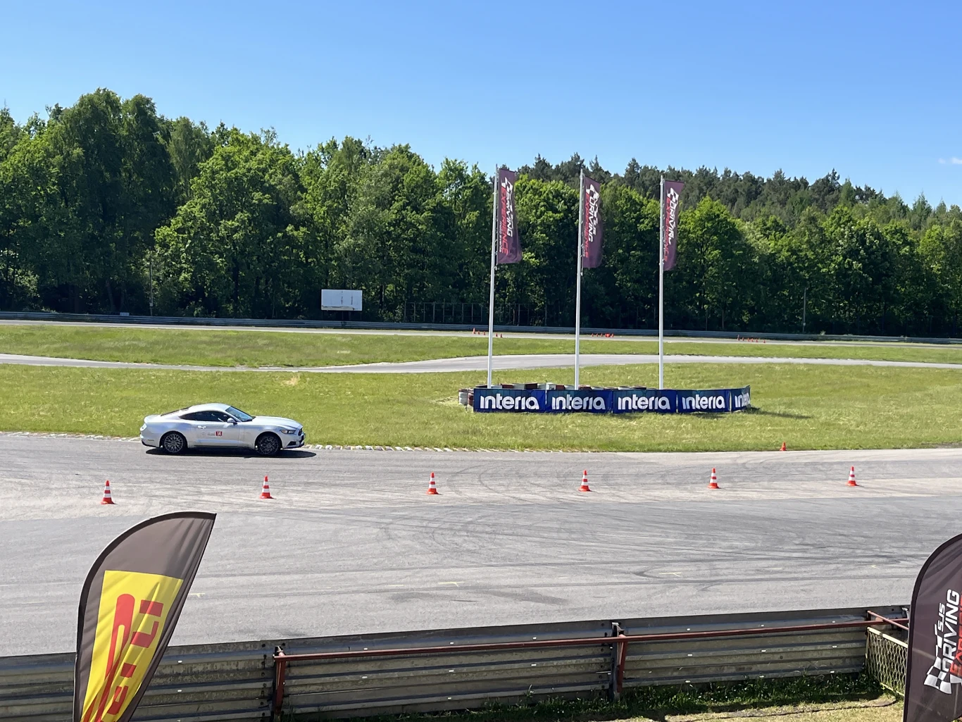 Wielka Gonitwa Stajni Mustangów