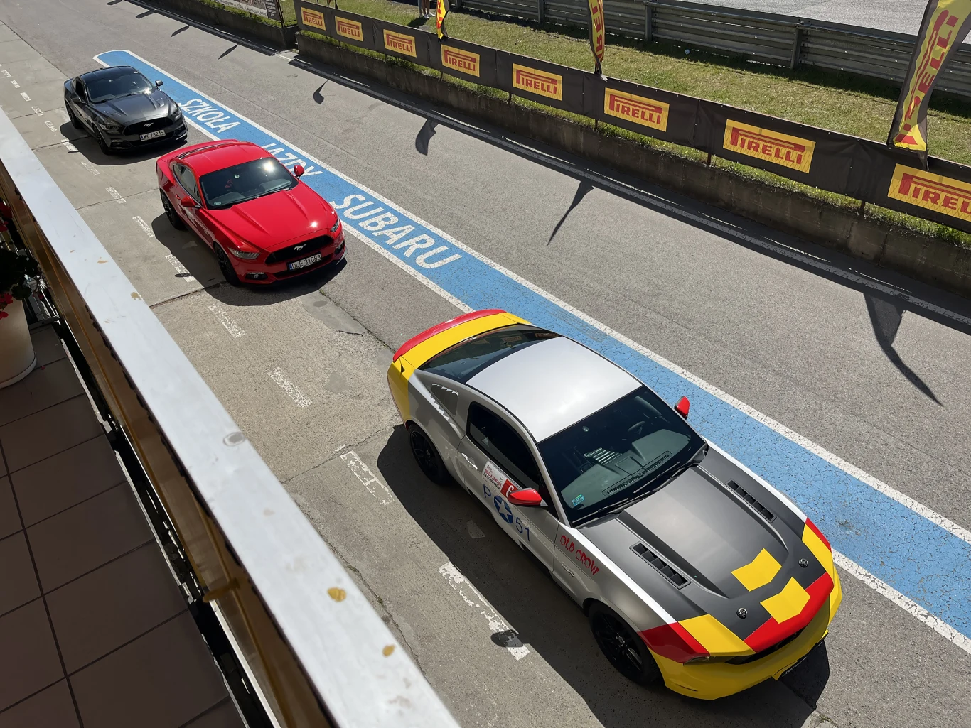 Wielka Gonitwa Stajni Mustangów