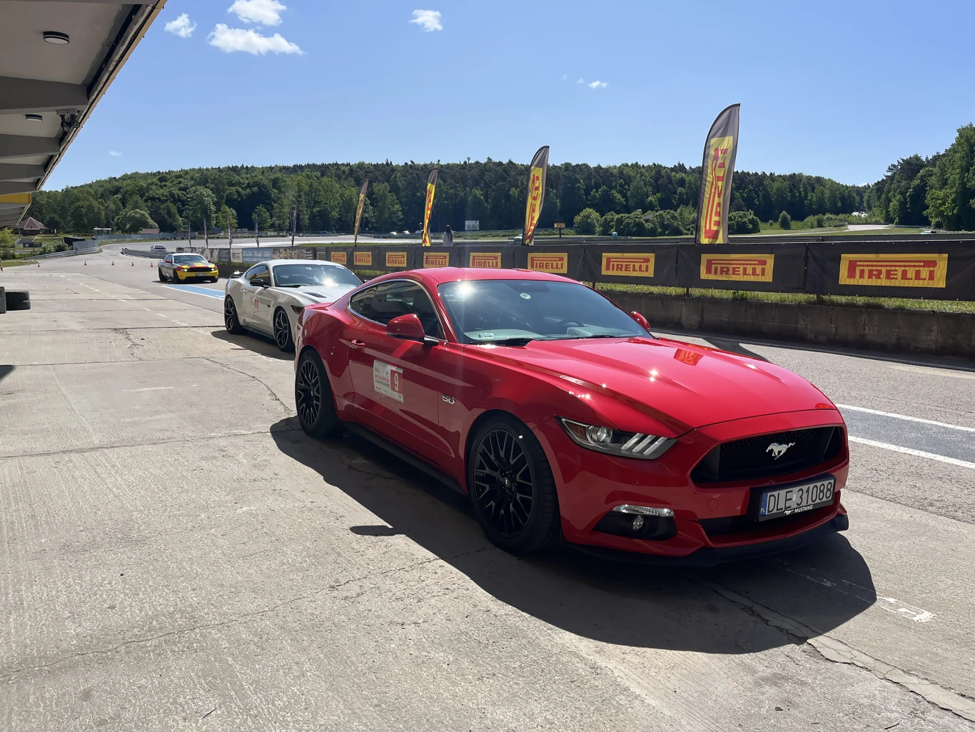 Wielka Gonitwa Stajni Mustangów