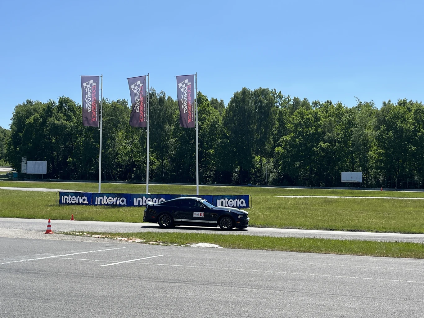 Wielka Gonitwa Stajni Mustangów