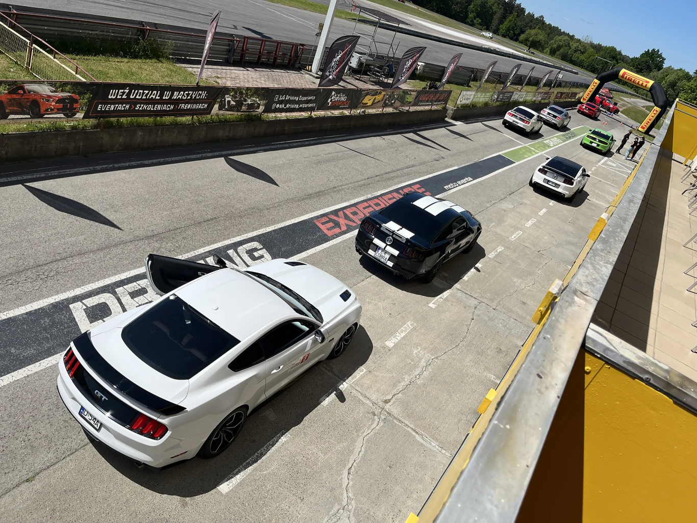 Wielka Gonitwa Stajni Mustangów