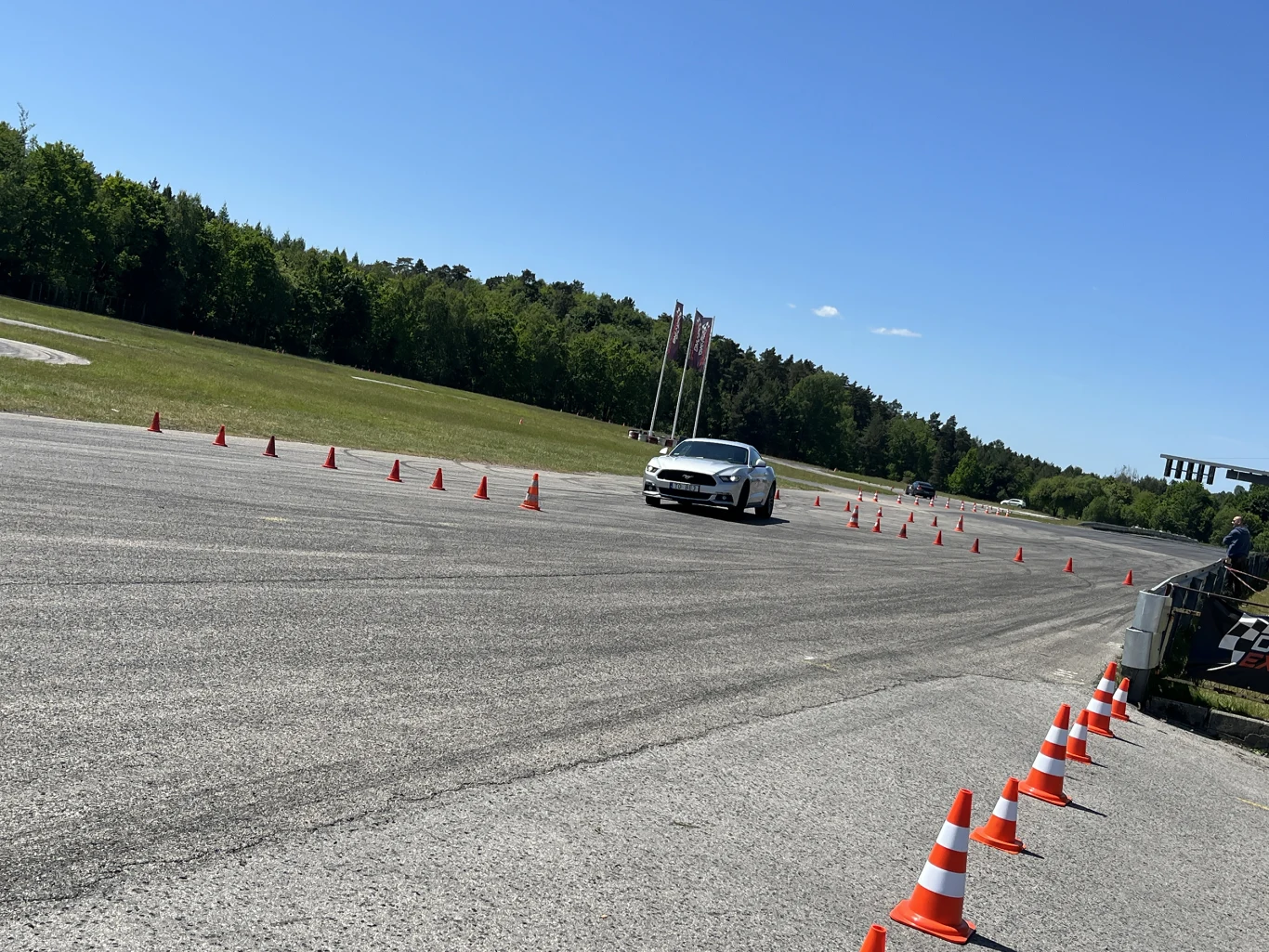 Wielka Gonitwa Stajni Mustangów