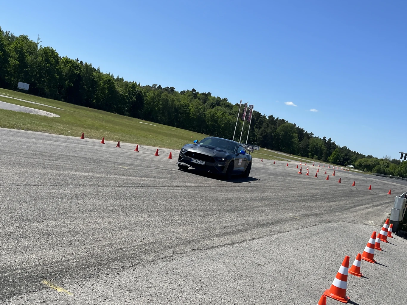 Wielka Gonitwa Stajni Mustangów