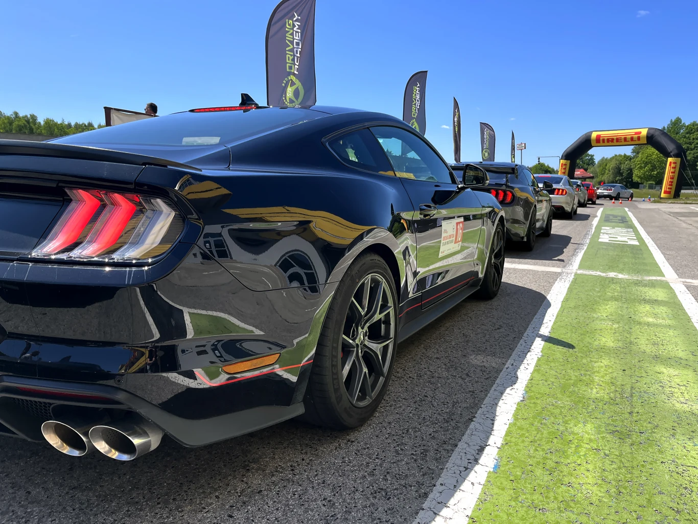 Wielka Gonitwa Stajni Mustangów