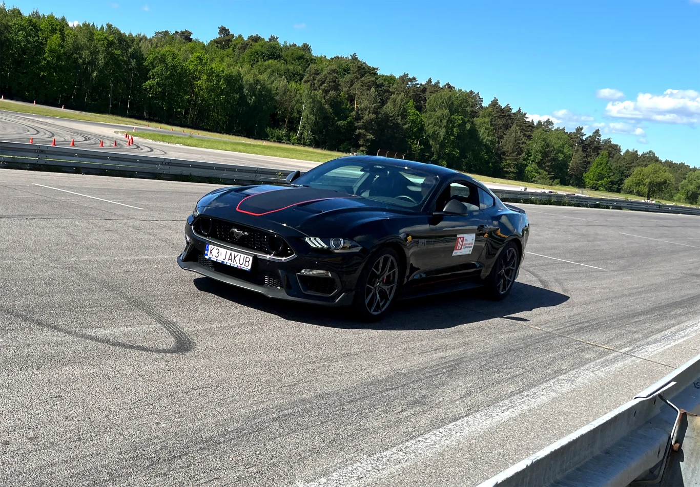 Wielka Gonitwa Stajni Mustangów