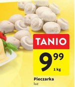 Pieczarki