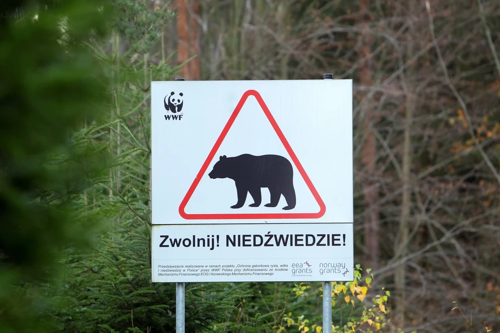 Znaki ostrzegawcze w Bieszczadach