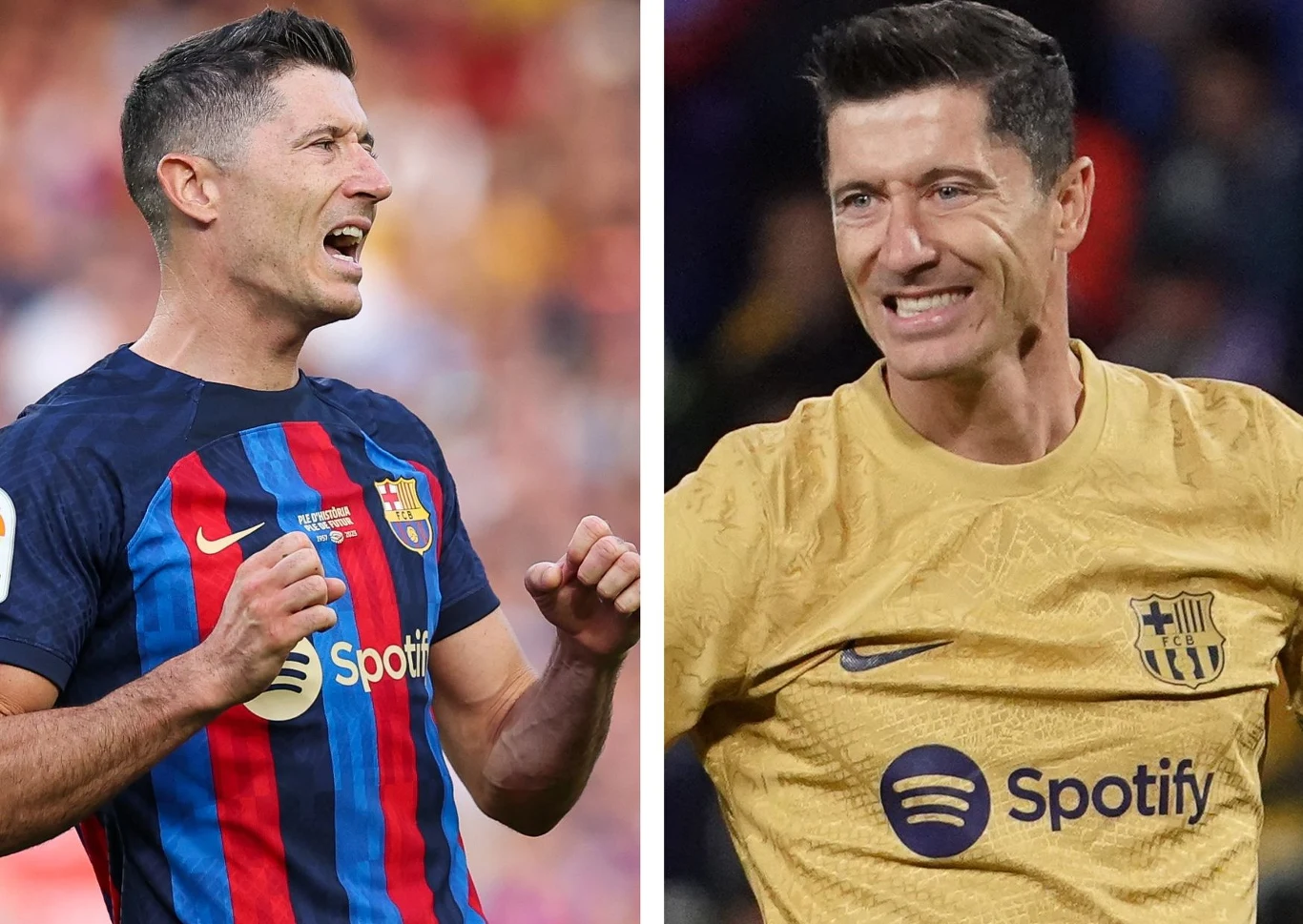 Robert Lewandowski Robert Lewandowski