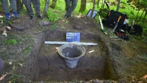 Niezwykłe znalezisko w polskim lesie