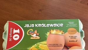 GIS ostrzega przed zagrożeniem salmonellozą. Fot. GIS