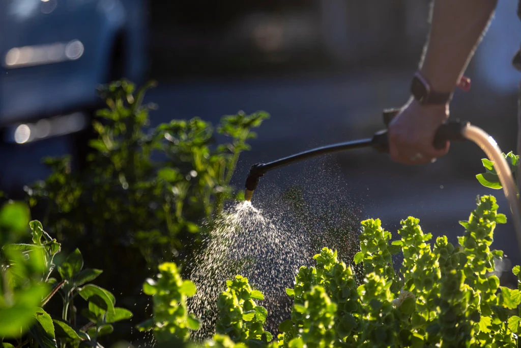 Wielu Europejczyków (ponad milion) opowiedziało się za całkowitym wycofaniem z użycia pestycydów ze względu na potencjalne niebezpieczeństwo Wielu Europejczyków (ponad milion) opowiedziało się za całkowitym wycofaniem z użycia pestycydów ze względu na potencjalne niebezpieczeństwo