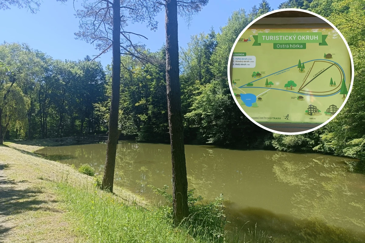 Spacerom towarzyszy śpiew ptaków Spacerom towarzyszy śpiew ptaków