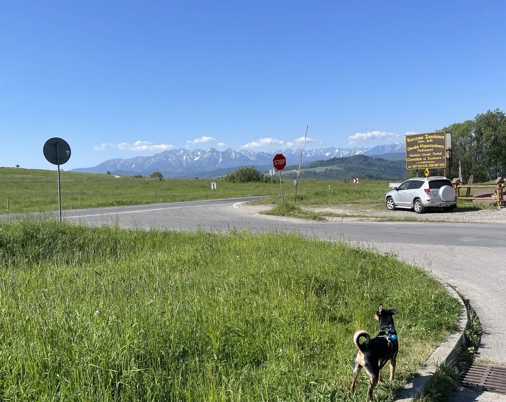 Widok na tatry z parkingu pod ścieżką prowadzącą na wieżę widokową na Lubaniu